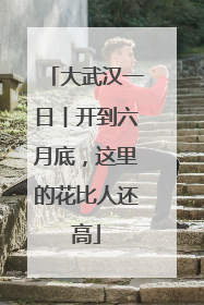 大武汉一日︱开到六月底，这里的花比人还高