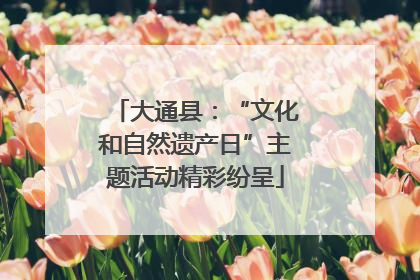 大通县：“文化和自然遗产日”主题活动精彩纷呈
