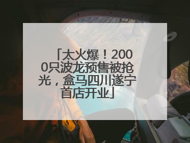 太火爆！2000只波龙预售被抢光，盒马四川遂宁首店开业