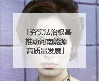 夯实法治根基 推动河南能源高质量发展