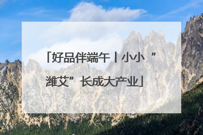 好品伴端午丨小小“潍艾”长成大产业