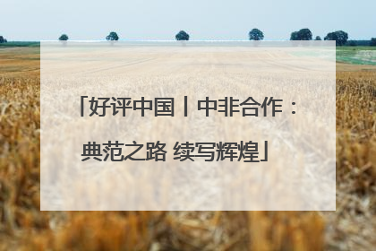 好评中国丨中非合作：典范之路 续写辉煌