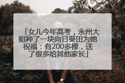 女儿今年高考，永州大姐种了一块向日葵田为她祝福：有200多棵，送了很多给其他家长