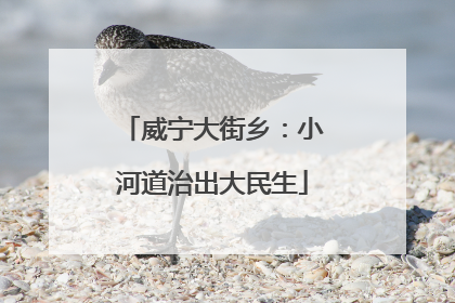 威宁大街乡：小河道治出大民生
