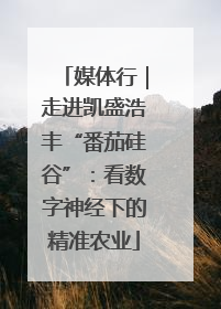 媒体行｜走进凯盛浩丰“番茄硅谷”：看数字神经下的精准农业