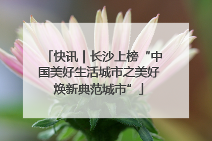 快讯｜长沙上榜“中国美好生活城市之美好焕新典范城市”