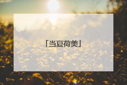 当夏荷美