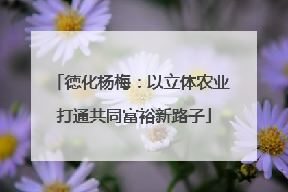 德化杨梅：以立体农业打通共同富裕新路子