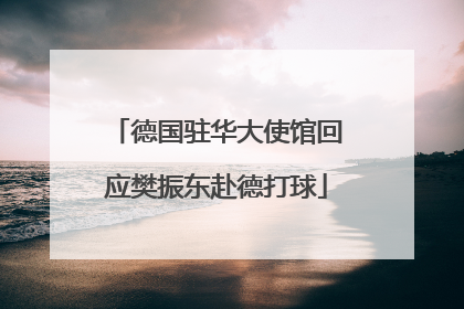德国驻华大使馆回应樊振东赴德打球