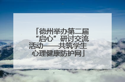德州举办第二届“启心”研讨交流活动——共筑学生心理健康防护网