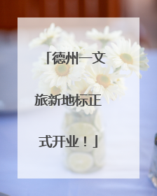 德州一文旅新地标正式开业！