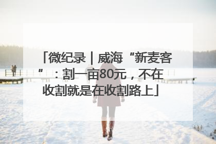 微纪录｜威海“新麦客”：割一亩80元，不在收割就是在收割路上