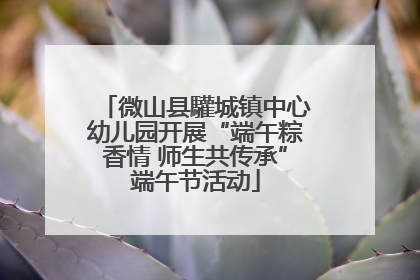 微山县驩城镇中心幼儿园开展“端午粽香情 师生共传承”端午节活动