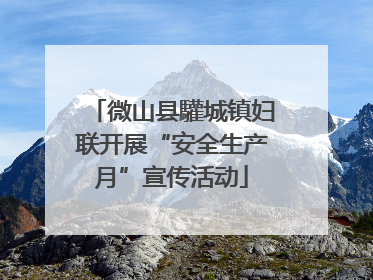 微山县驩城镇妇联开展“安全生产月”宣传活动