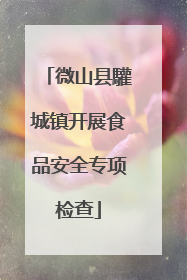 微山县驩城镇开展食品安全专项检查