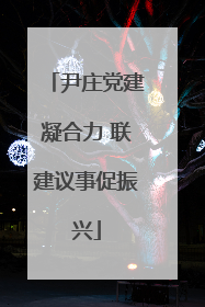尹庄党建凝合力 联建议事促振兴