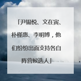 尹锡悦、文在寅、朴槿惠、李明博，他们纷纷出面支持各自阵营候选人