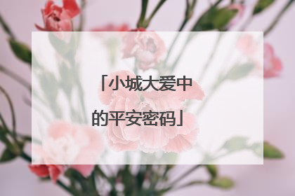 小城大爱中的平安密码