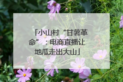 小山村“甘薯革命”：电商直播让地瓜走出大山