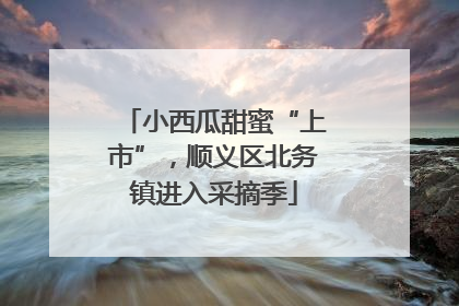 小西瓜甜蜜“上市”，顺义区北务镇进入采摘季