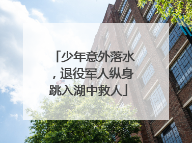 少年意外落水，退役军人纵身跳入湖中救人