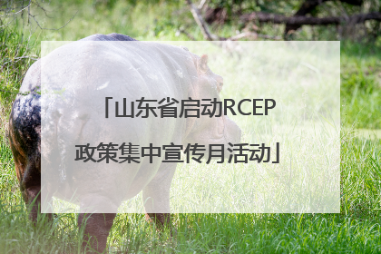 山东省启动RCEP政策集中宣传月活动
