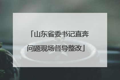 山东省委书记直奔问题现场督导整改