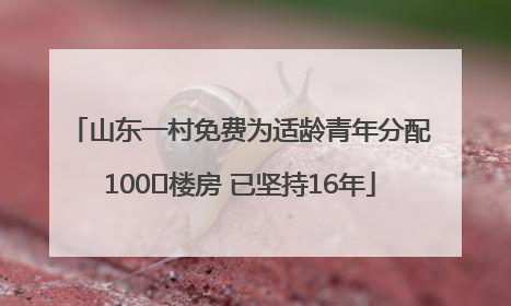 山东一村免费为适龄青年分配100㎡楼房 已坚持16年