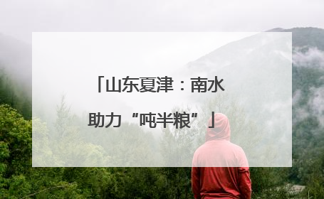山东夏津：南水助力“吨半粮”