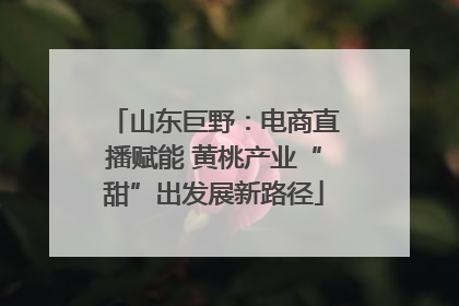 山东巨野：电商直播赋能 黄桃产业“甜”出发展新路径