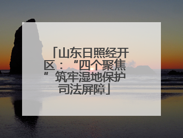 山东日照经开区：“四个聚焦”筑牢湿地保护司法屏障