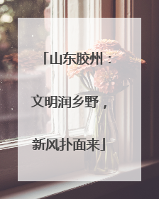 山东胶州：文明润乡野，新风扑面来