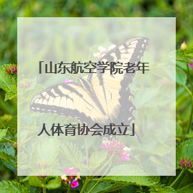 山东航空学院老年人体育协会成立