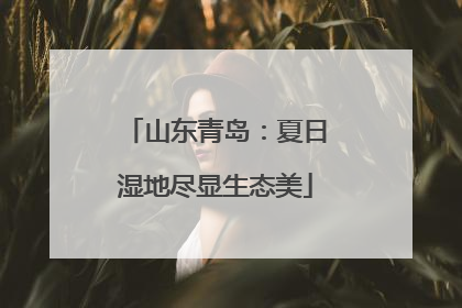 山东青岛：夏日湿地尽显生态美