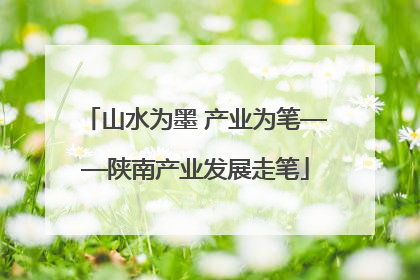 山水为墨 产业为笔——陕南产业发展走笔