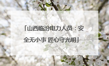 山西临汾电力人员：安全无小事 匠心守光明