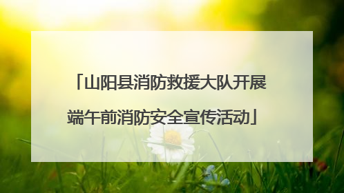 山阳县消防救援大队开展端午前消防安全宣传活动