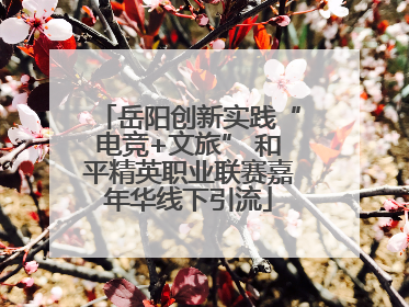 岳阳创新实践“电竞+文旅” 和平精英职业联赛嘉年华线下引流