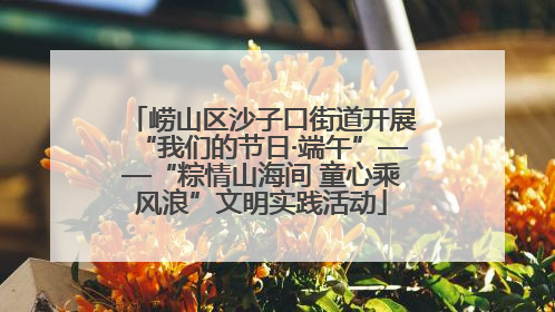 崂山区沙子口街道开展“我们的节日·端午”——“粽情山海间 童心乘风浪”文明实践活动