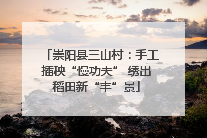 崇阳县三山村：手工插秧“慢功夫” 绣出稻田新“丰”景