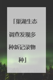 巢湖生态调查发现多种新记录物种