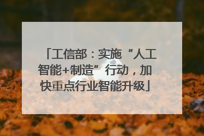 工信部：实施“人工智能+制造”行动，加快重点行业智能升级