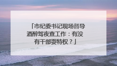市纪委书记现场督导酒醉驾夜查工作：有没有干部耍特权？