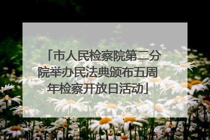 市人民检察院第二分院举办民法典颁布五周年检察开放日活动