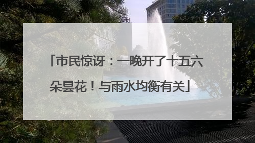 市民惊讶：一晚开了十五六朵昙花！与雨水均衡有关