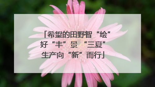 希望的田野智“绘”好“丰”景 “三夏”生产向“新”而行