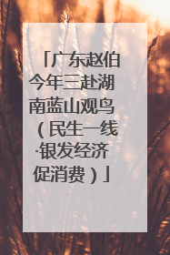 广东赵伯今年三赴湖南蓝山观鸟（民生一线·银发经济促消费）