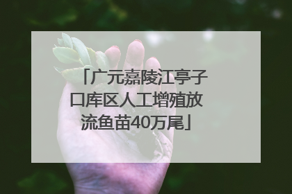 广元嘉陵江亭子口库区人工增殖放流鱼苗40万尾