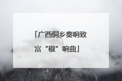 广西侗乡奏响致富“椒”响曲