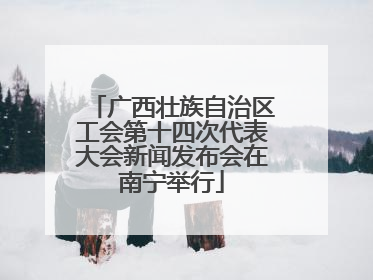 广西壮族自治区工会第十四次代表大会新闻发布会在南宁举行